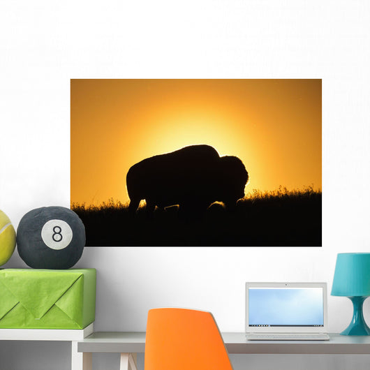 Silhouette Bison Sunset Grasslands Wall Decal Design 1