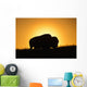 Silhouette Bison Sunset Grasslands Wall Decal Design 1
