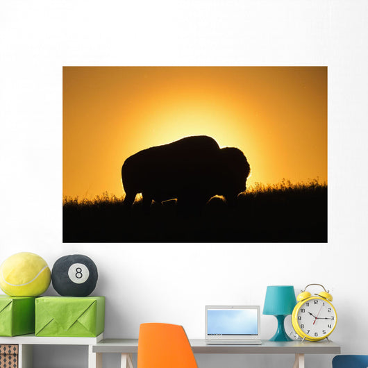 Silhouette Bison Sunset Grasslands Wall Decal Design 1