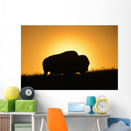 Silhouette Bison Sunset Grasslands Wall Decal Design 1