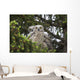 Family Great Horned Owls Wall Decal Design 1