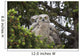 Family Great Horned Owls Wall Decal Design 1