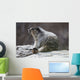 Marmot Wall Decal