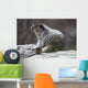 Marmot Wall Decal