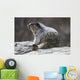 Marmot Wall Decal