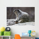 Marmot Wall Decal
