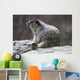 Marmot Wall Decal