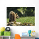 Young Grizzly Bear Wall Decal