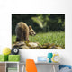 Young Grizzly Bear Wall Decal