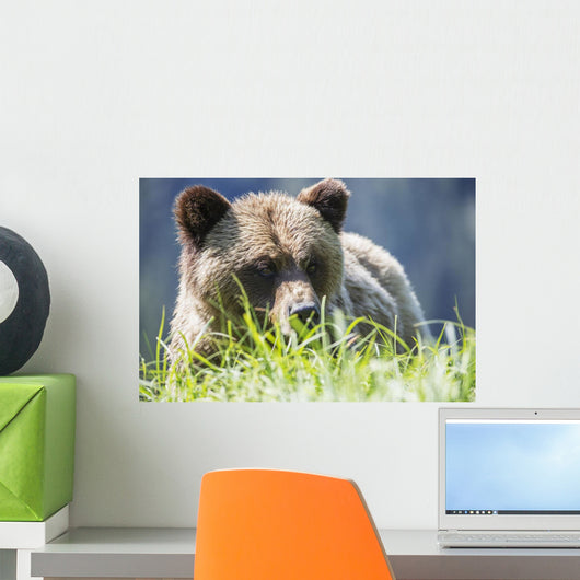 Grizzly Bear Wall Decal Design 2