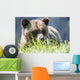 Grizzly Bear Wall Decal Design 2