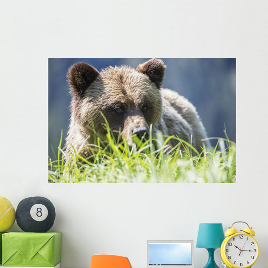 Grizzly Bear Wall Decal Design 2