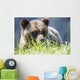 Grizzly Bear Wall Decal Design 2