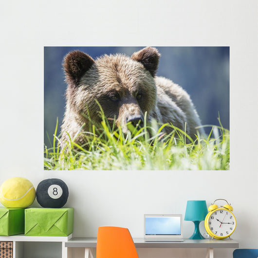 Grizzly Bear Wall Decal Design 2