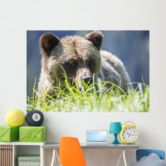 Grizzly Bear Wall Decal Design 2