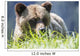 Grizzly Bear Wall Decal Design 2