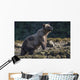 Grizzly Bear Wall Decal Design 1