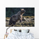 Grizzly Bear Wall Decal Design 1