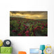 Sunset Illuminated Clouds over Wall Decal