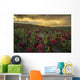 Sunset Illuminated Clouds over Wall Decal