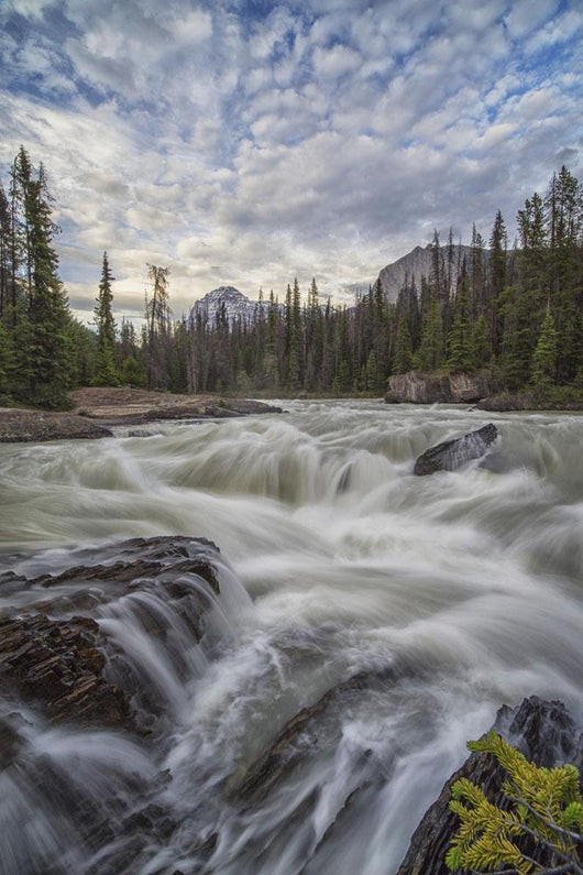 Kicking Horse River Flows Wall Decal Design 2