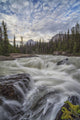 Kicking Horse River Flows Wall Decal Design 2