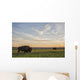 Bison Roam Plains Sunset Wall Decal