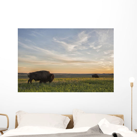 Bison Roam Plains Sunset Wall Decal