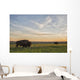 Bison Roam Plains Sunset Wall Decal