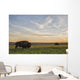 Bison Roam Plains Sunset Wall Decal