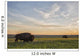 Bison Roam Plains Sunset Wall Decal