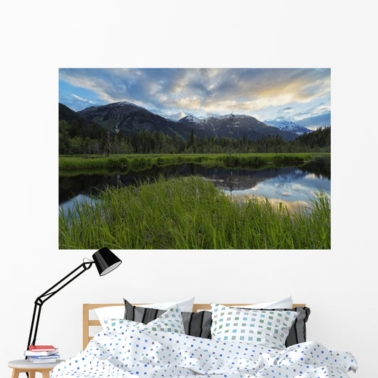 Sunset over Tongass National Wall Decal Design 2
