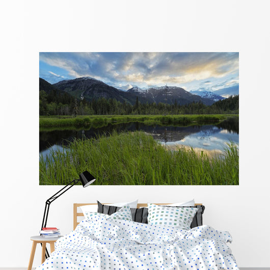 Sunset over Tongass National Wall Decal Design 2
