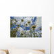 Looking up Daisies for Wall Decal