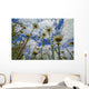 Looking up Daisies for Wall Decal
