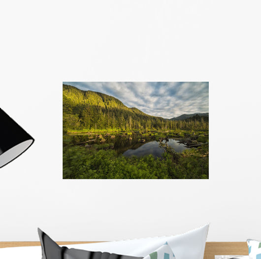 Small Pond near Prince Wall Decal