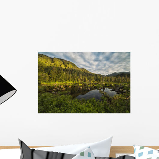 Small Pond near Prince Wall Decal