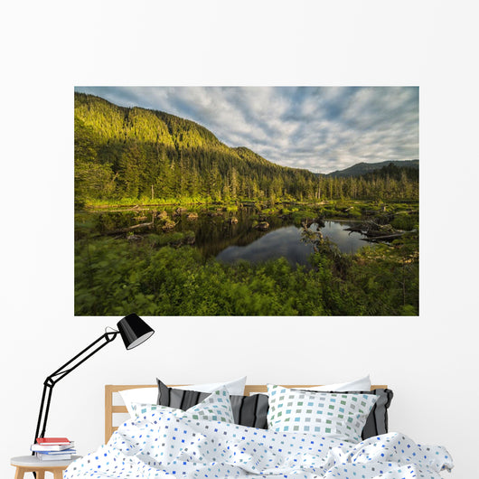 Small Pond near Prince Wall Decal