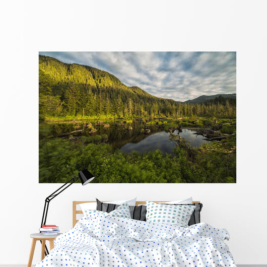 Small Pond near Prince Wall Decal