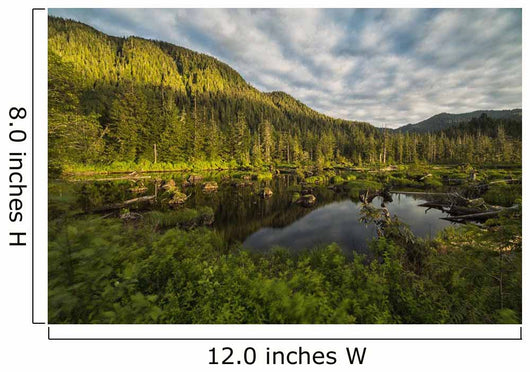 Small Pond near Prince Wall Decal