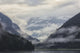 Estuary of Khutzeymateen Grizzly Bear Sanctuary Wall Mural