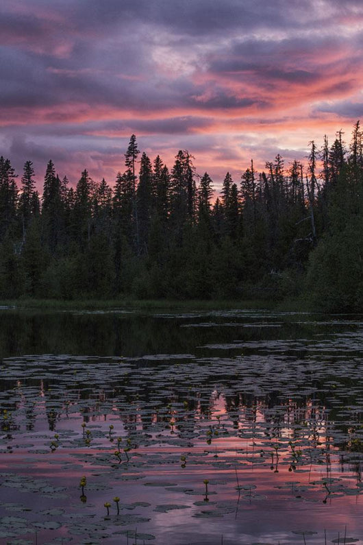 Sunset over Small Beaver Wall Decal