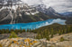 Aquamarine Waters Peyto Lake Wall Decal