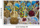 Close-up Multi-colored Candy Apples Wall Decal