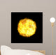 the sun in space Wall Mural