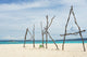 Puka Beach Wall Decal
