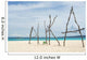 Puka Beach Wall Decal