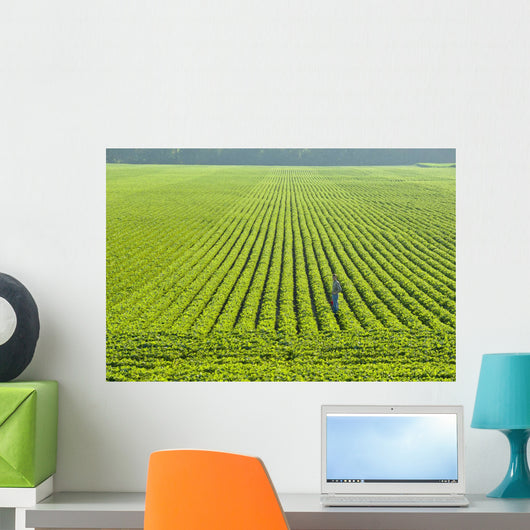 Portrait Farmer Walking through Wall Decal Design 3