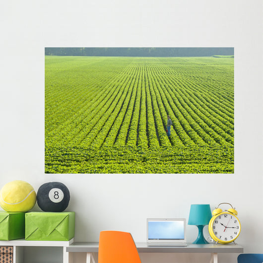 Portrait Farmer Walking through Wall Decal Design 3