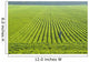 Portrait Farmer Walking through Wall Decal Design 3